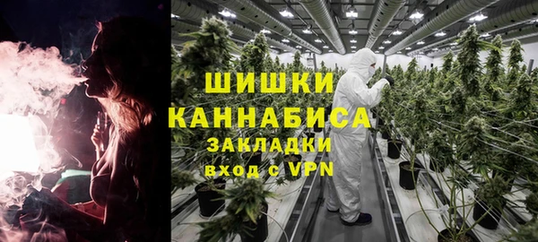 PSILOCYBIN Нязепетровск