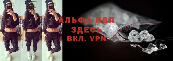 ALPHA PVP Новозыбков