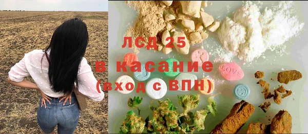 PSILOCYBIN Нязепетровск