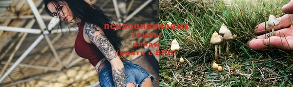 кокаин колумбия Няндома
