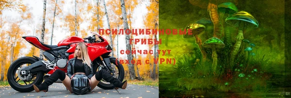 прущий лед Осташков