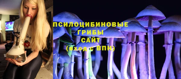 МДПВ Остров