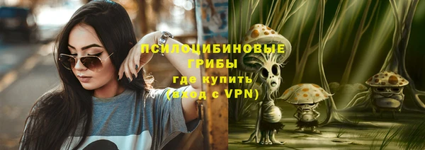 PSILOCYBIN Нязепетровск