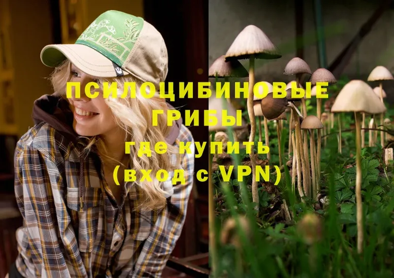 Галлюциногенные грибы Magic Shrooms  Мирный 