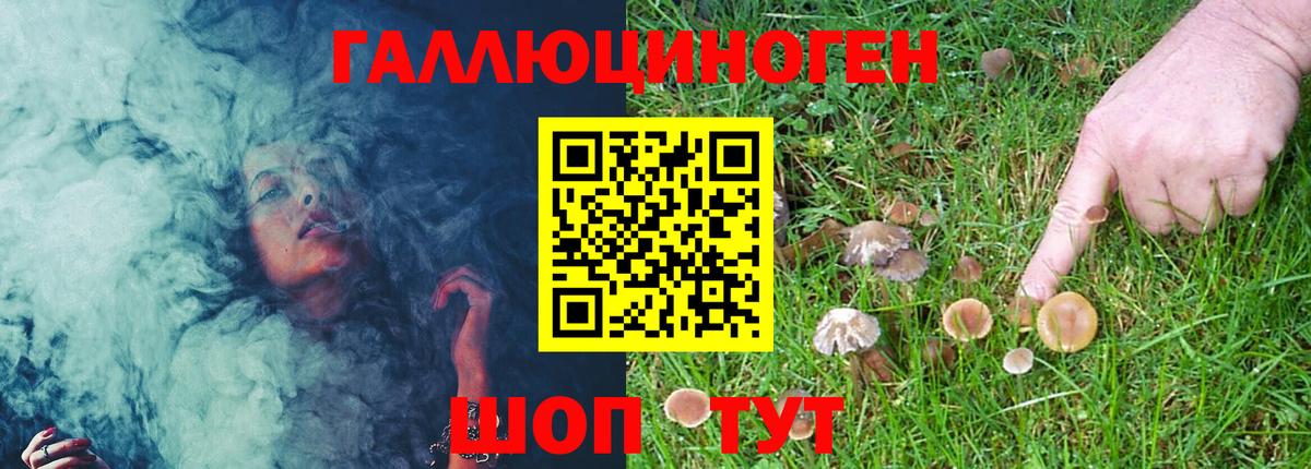 Псилоцибиновые грибы мицелий Мирный