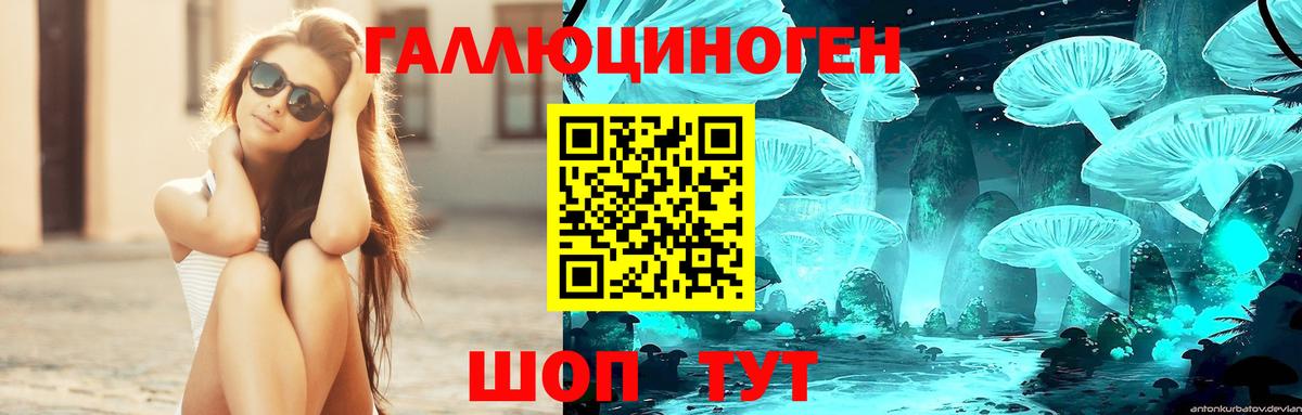 Псилоцибиновые грибы Psilocybine cubensis  Вход с VPN  Мирный 